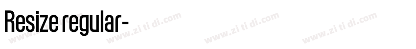 Resize regular字体转换 Resize regular字体转换